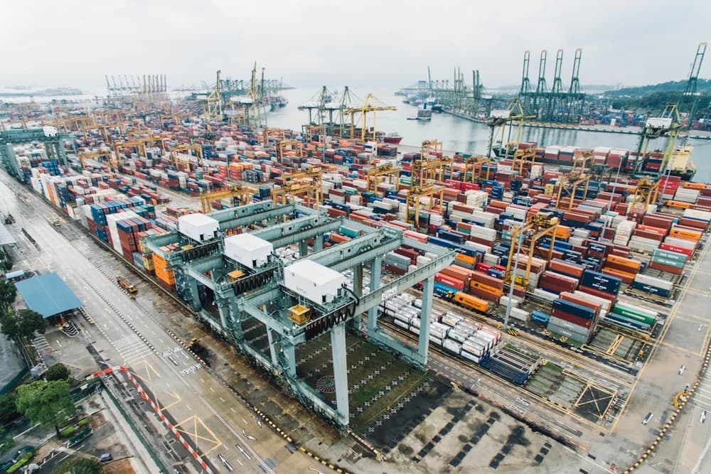 Cheetah Logistics project